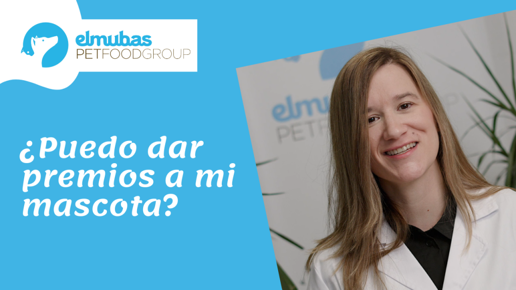 ¿Puedo dar premios a mi mascota?
