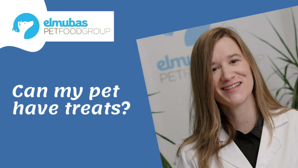 Can my pet have treats?